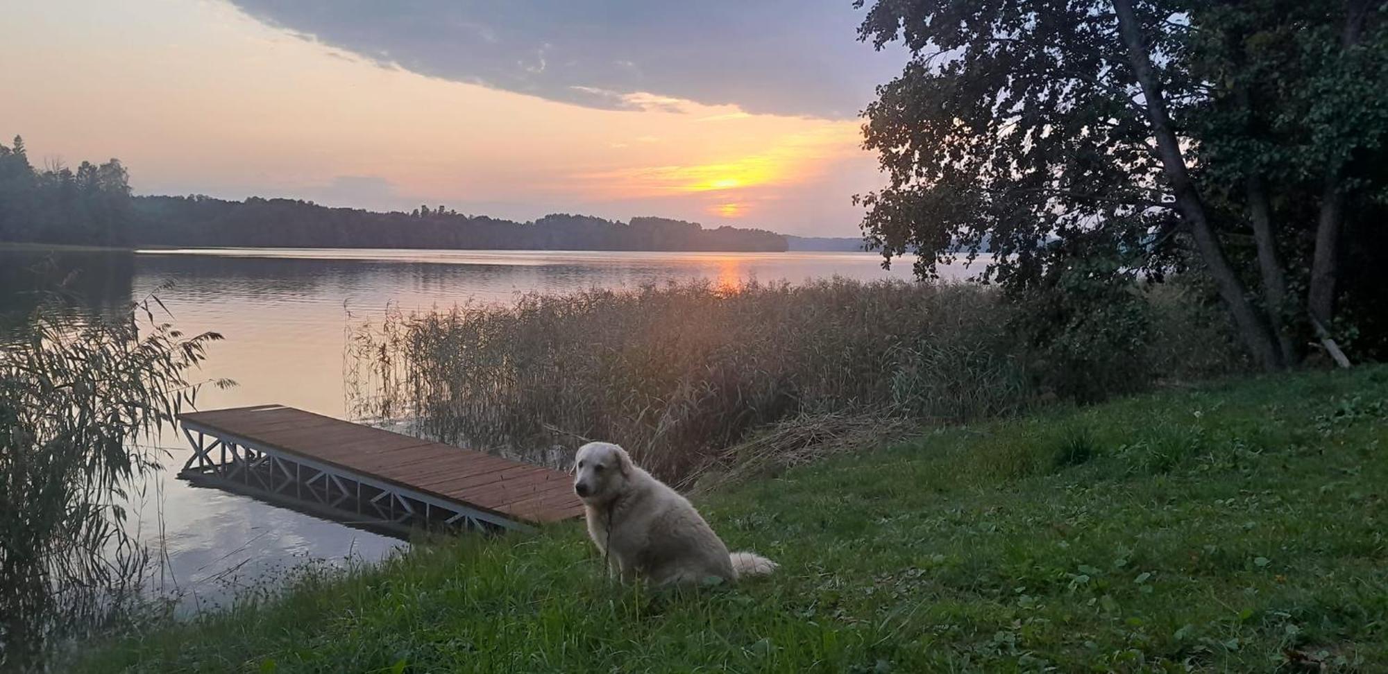 Willa Zacisze nad Rospudą Filipow Zewnętrze zdjęcie